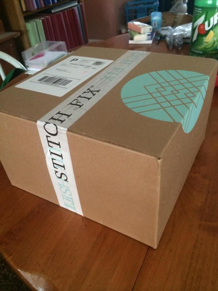 Stitch Fix Box Six bri